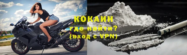 ECSTASY Белокуриха