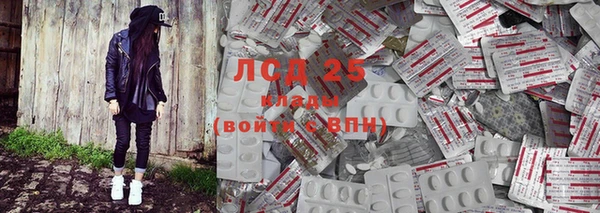 ECSTASY Белокуриха