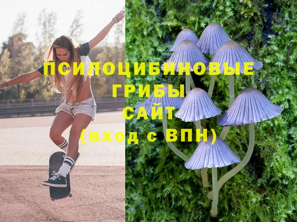 mix Сосновый Бор
