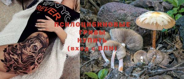 ECSTASY Белокуриха