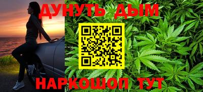 прущие грибы Владикавказ