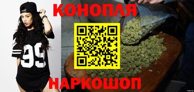 крисы Владимир