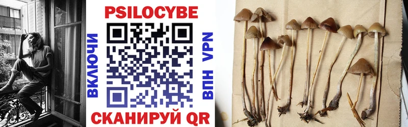 купить наркотики цена MEGA ССЫЛКА Псилоцибиновые грибы прущие грибы Верхняя Пышма