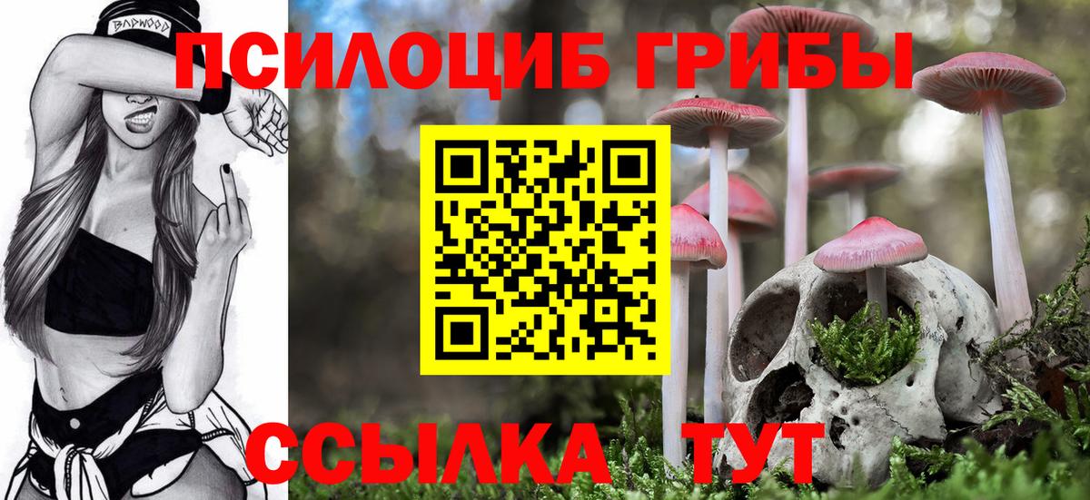 Галлюциногенные грибы ЛСД Верхняя Пышма