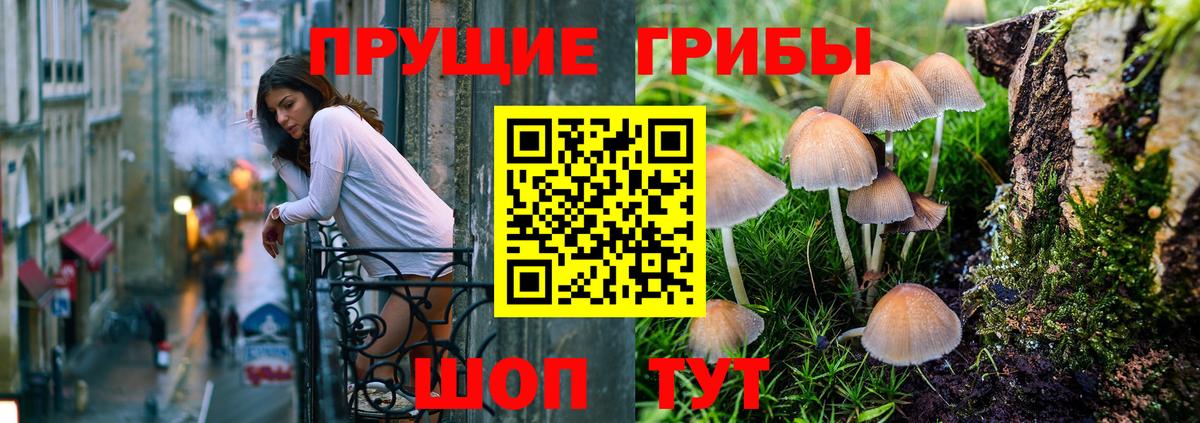 Псилоцибиновые грибы GOLDEN TEACHER  Вход с VPN  Верхняя Пышма  Псилоцибиновые грибы Psilocybine cubensis 