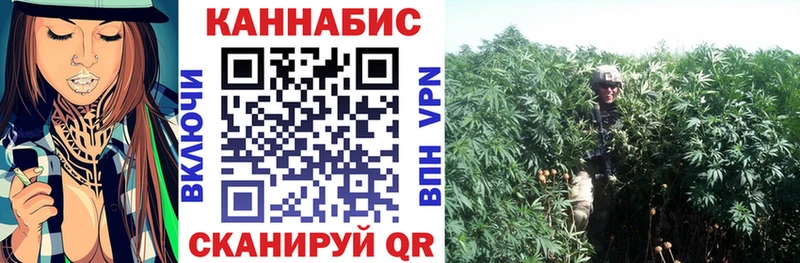 МАРИХУАНА конопля закладка Верхняя Пышма